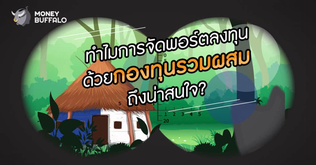 พอร์ตการลงทุน กองทุนรวมผสม กองทุนบัวหลวง