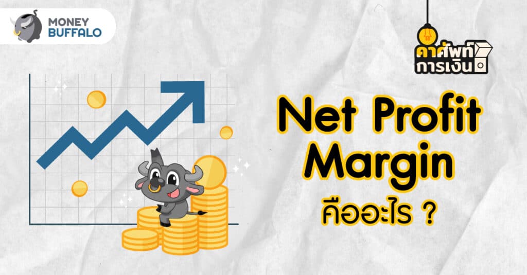 Net Profit Margin คืออะไร