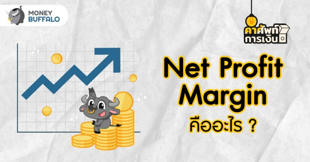 Net Profit Margin คืออะไร