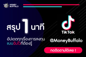 เฟรช ไล ท์ โฟม น้ำตาล เทา อ่อน ราคา