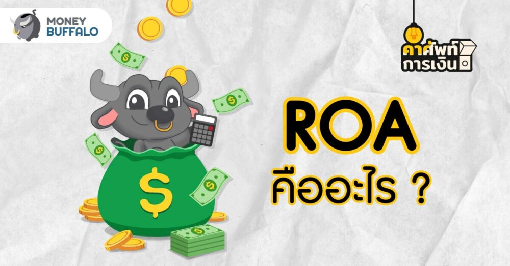 ROA คืออะไร