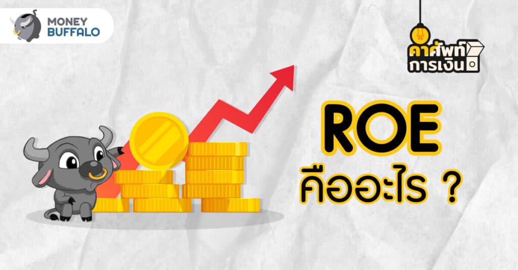 ROE คืออะไร