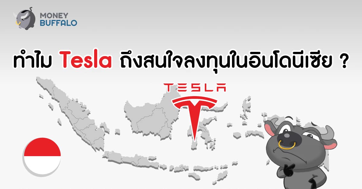 Tesla ลงทุนอินโดนีเซีย