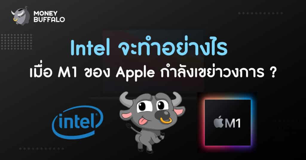 intel vs m1