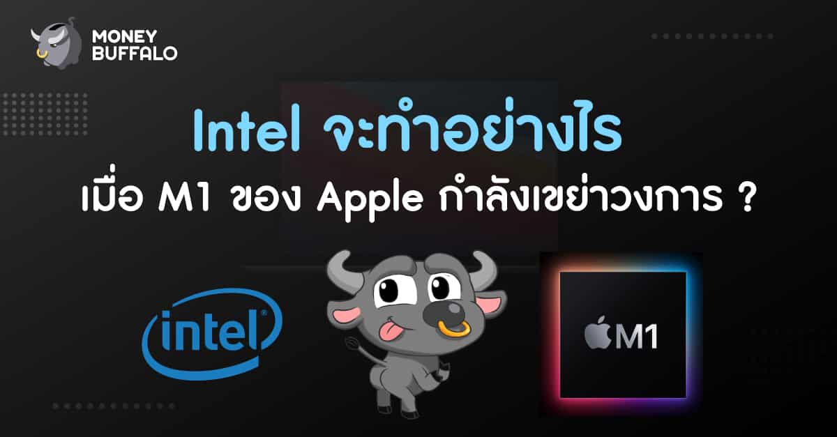 intel vs m1
