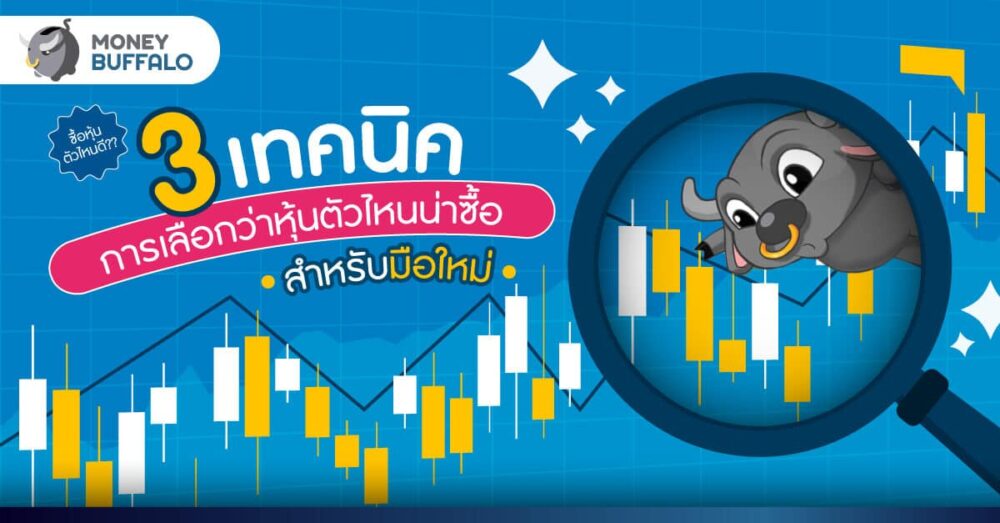 ซื้อหุ้นตัวไหนดี? 3 เทคนิคคัดเลือกซื้อหุ้น สำหรับมือใหม่ ซื้อหุ้นตัวไหนดี? 3 เทคนิคคัดเลือกซื้อหุ้น สำหรับมือใหม่