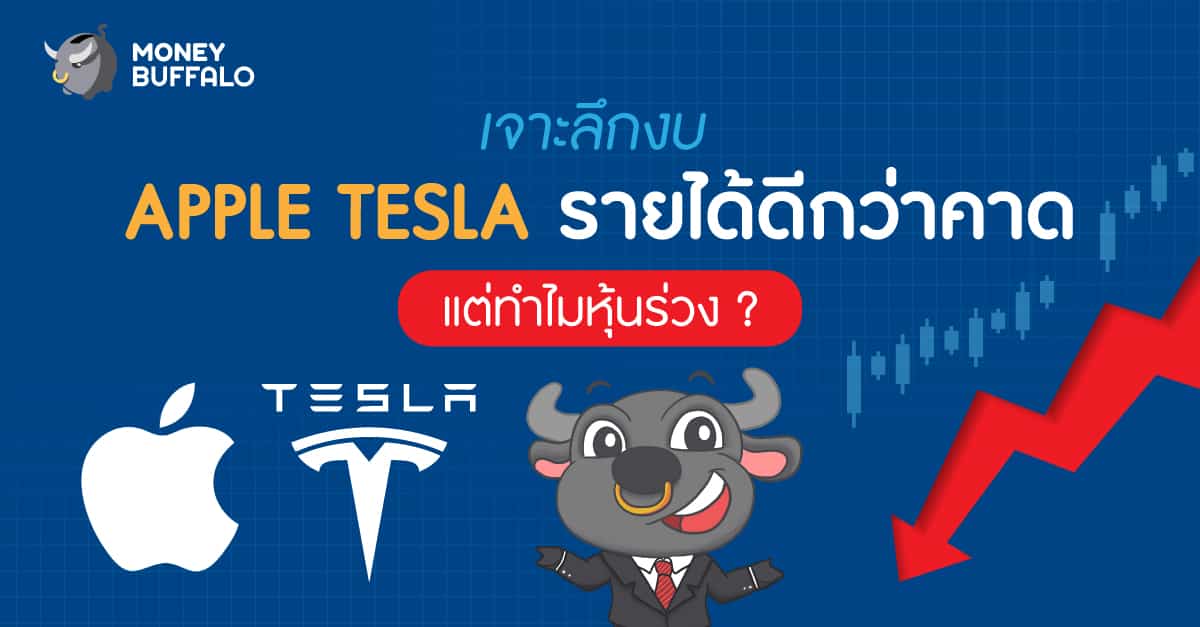 งบ apple งบ tesla