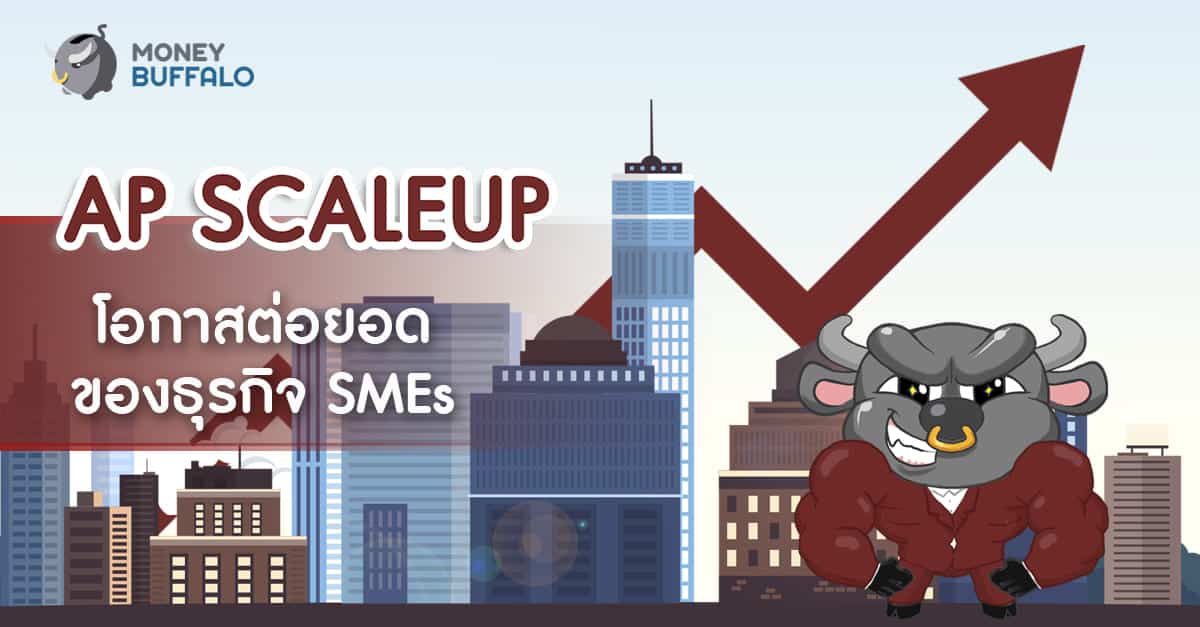 "AP SCALE UP"