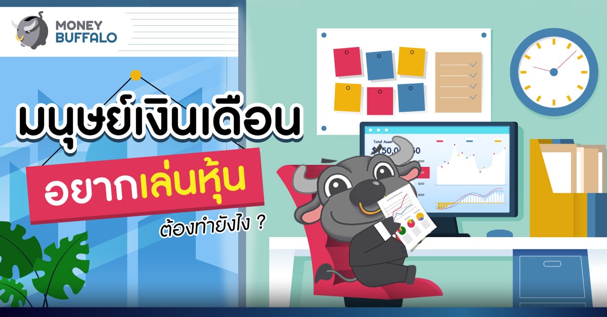 มนุษย์เงินเดือนอยากเล่นหุ้น ต้องทำยังไง ? - Money Buffalo