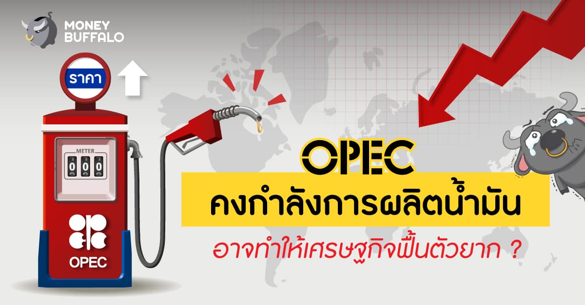 OPEC คงกำลังการผลิต