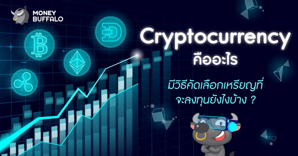 "Cryptocurrency" คืออะไร - มีวิธีคัดเลือกเหรียญที่จะลงทุนยังไงบ้าง ?