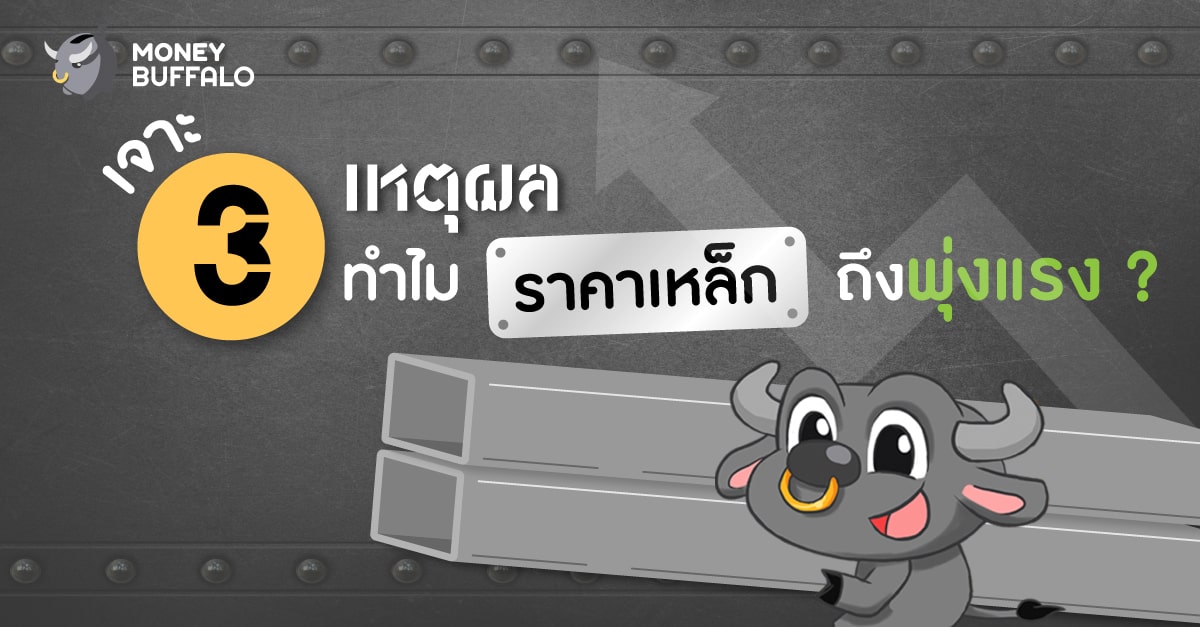 เจาะ 3 เหตุผล ทำไม "ราเหล็ก" ถึงพุ่งแรง ?
