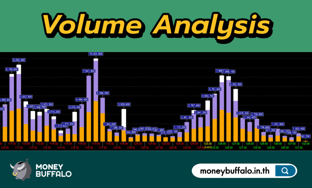 วิธีวิเคราะห์หุ้นด้วย “Volume Analysis” | ลงทุนหุ้นเป็นใน 30 วัน Ep23 -  Money Buffalo