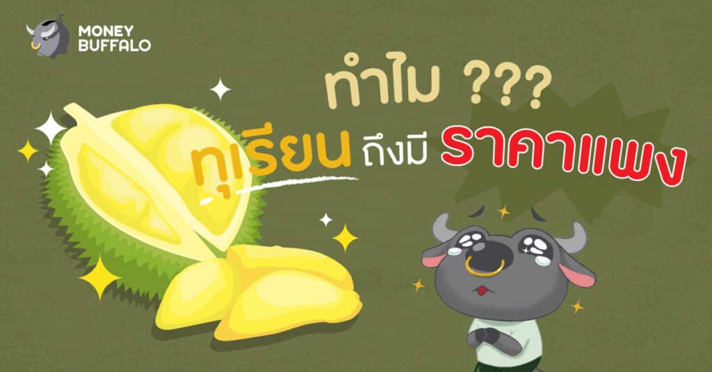 ทำไม "ทุเรียน" ถึงมีราคาแพง ?