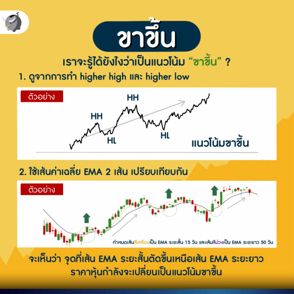 วิธี อ่านกราฟหุ้น สำหรับมือใหม่ ต้องทำยังไง ?