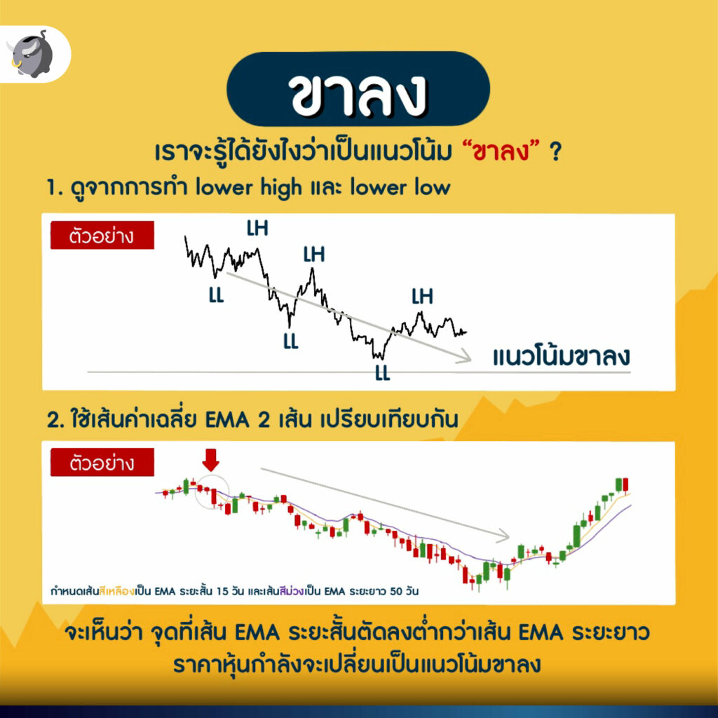 วิธี อ่านกราฟหุ้น สำหรับมือใหม่ ต้องทำยังไง ?