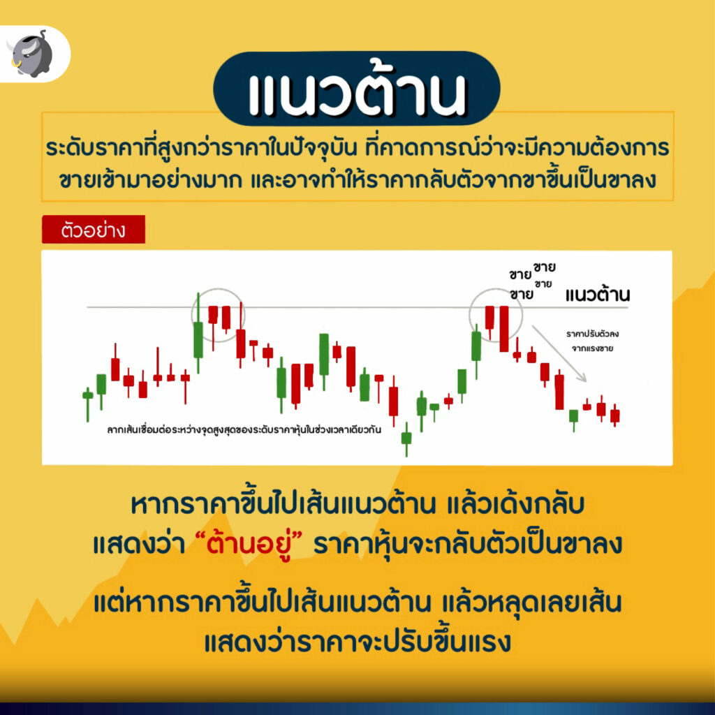 วิธี อ่านกราฟหุ้น สำหรับมือใหม่ ต้องทำยังไง ?