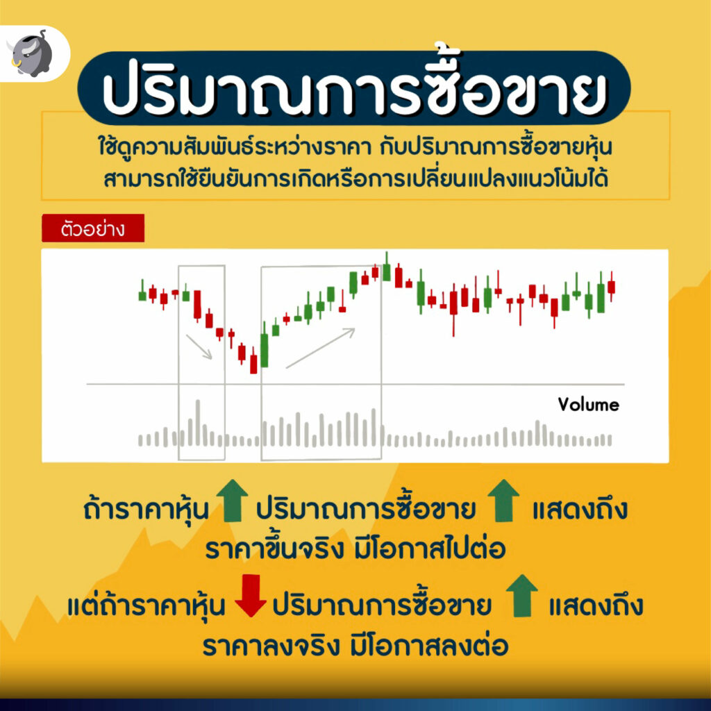 วิธี อ่านกราฟหุ้น สำหรับมือใหม่ ต้องทำยังไง ?