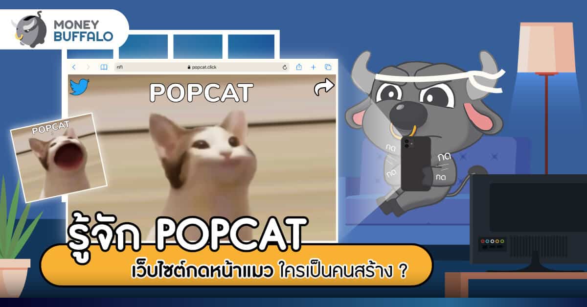 รู้จัก “POPCAT” เว็บไซต์กดหน้าแมว ใครเป็นคนสร้าง ?