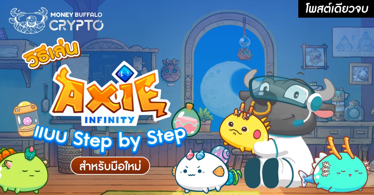 [สรุปโพสต์เดียวจบ] วิธีเล่น Axie Infinity แบบ Step by Step สำหรับมือใหม่