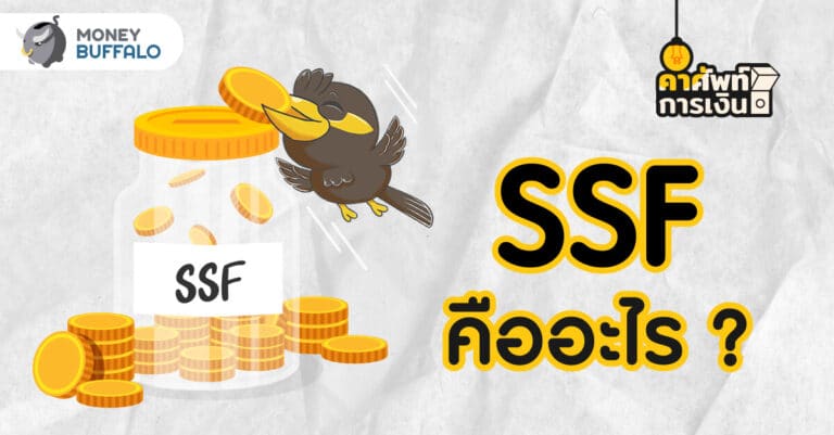 SSF คืออะไร ? ทำไมถึงเป็นการลงทุนที่ “ครบ จบ” ในกองเดียว