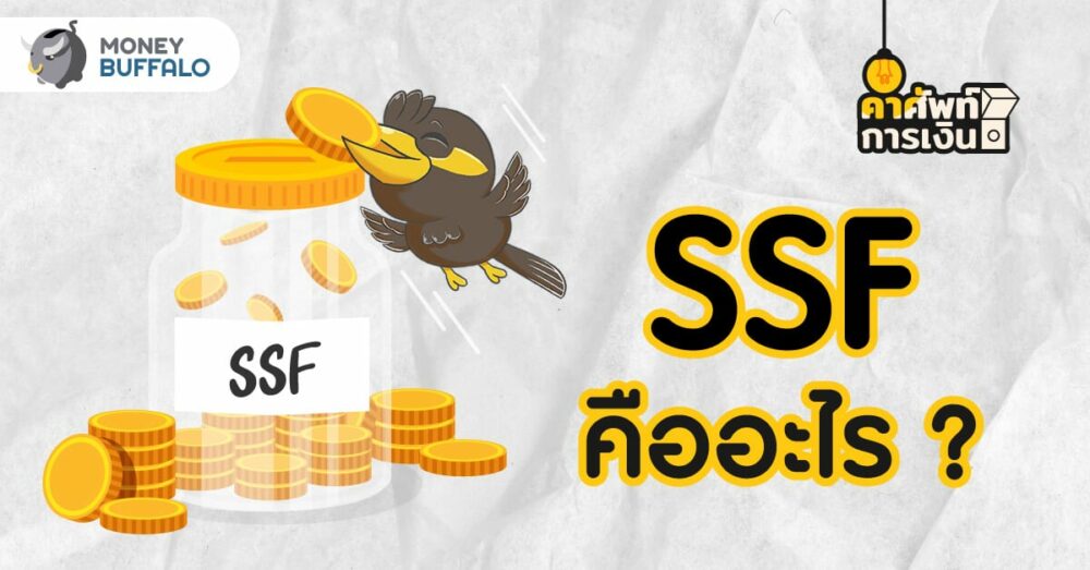 SSF คืออะไร ? ทำไมถึงเป็นการลงทุนที่ “ครบ จบ” ในกองเดียว