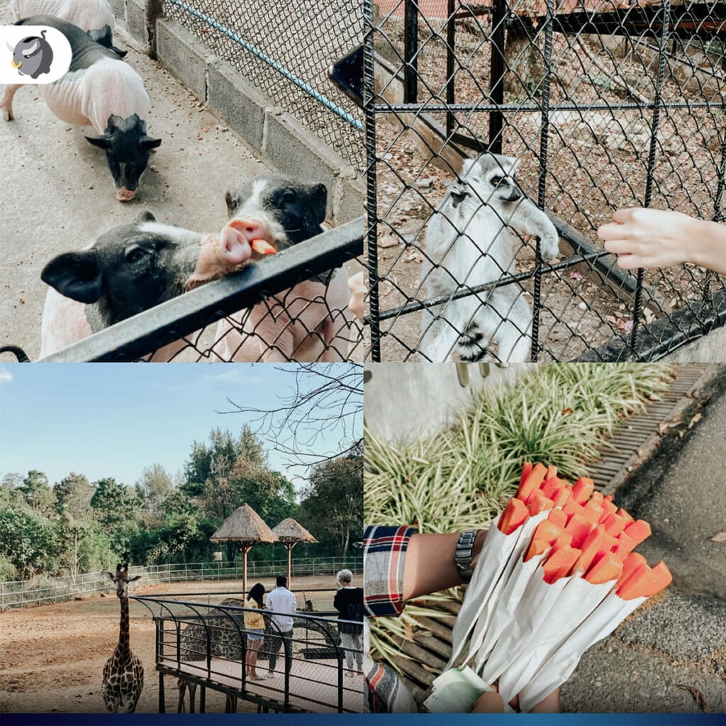 Bonanza Exotic Park