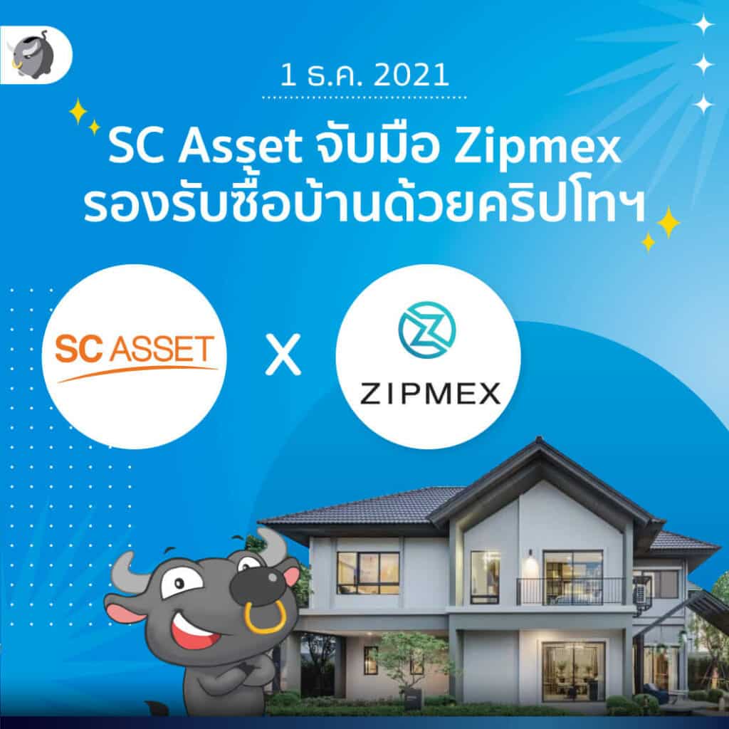 SCAsset zipmex