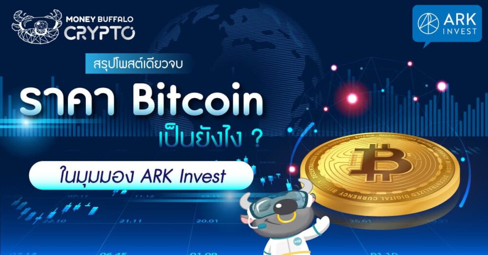 สรุปโพสต์เดียวจบ] “ราคา Bitcoin” เป็นยังไง ? ในมุมมอง Ark Invest - Money  Buffalo