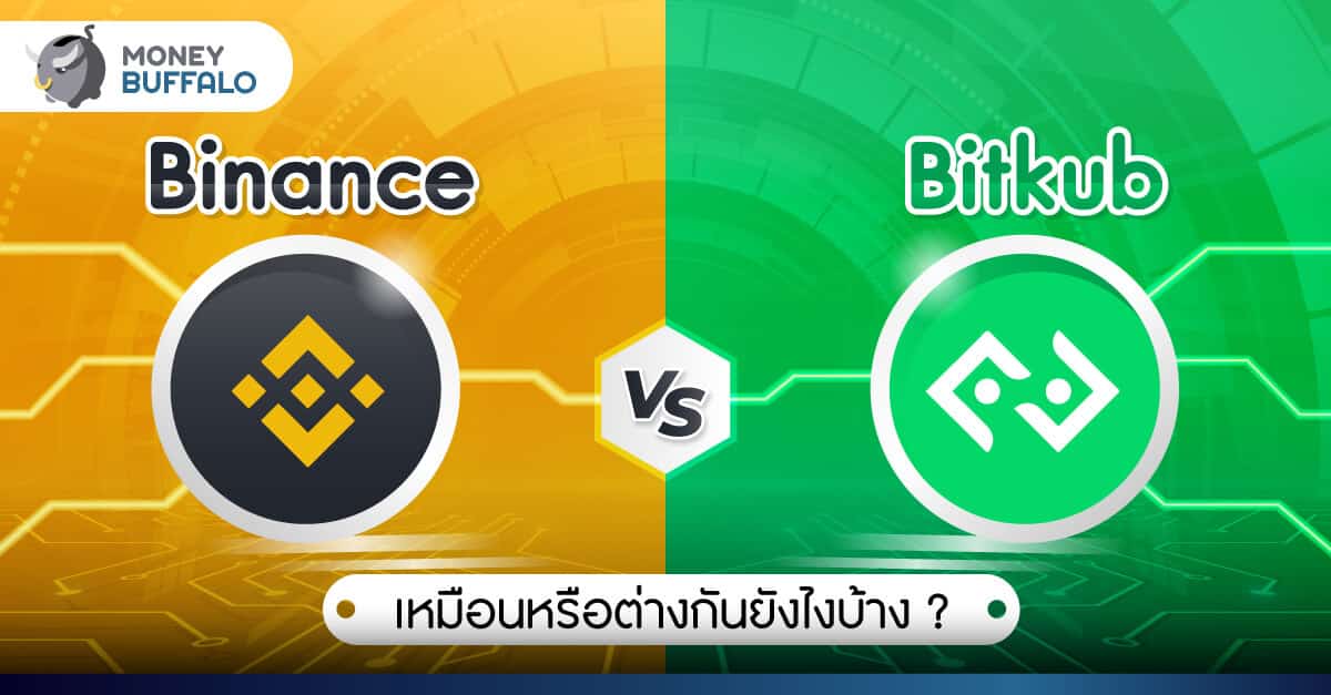 Binance กับ Bitkub ต่างกันยังไงบ้าง ? – สองกระดานเทรดยอดนิยมในไทย - Money  Buffalo