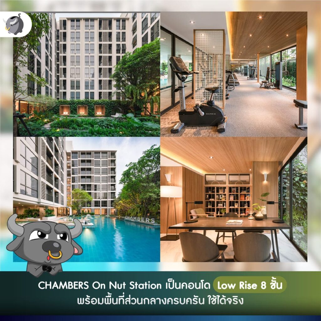 CHAMBERS On Nut Station