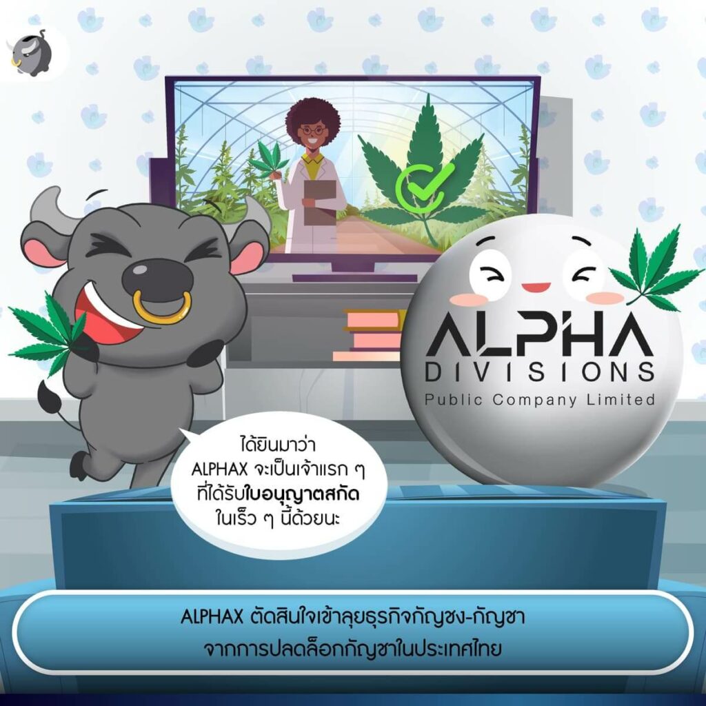 สรุป "หุ้น ALPHAX" เปิดศึกลุยตลาดอสังหาฯ และกัญชง-กัญชา และ FinTech
