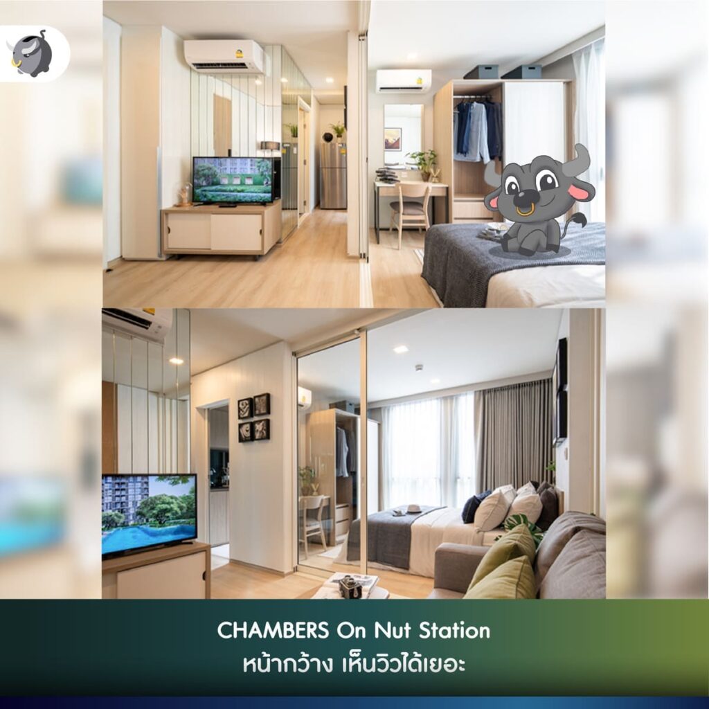 CHAMBERS On Nut Station