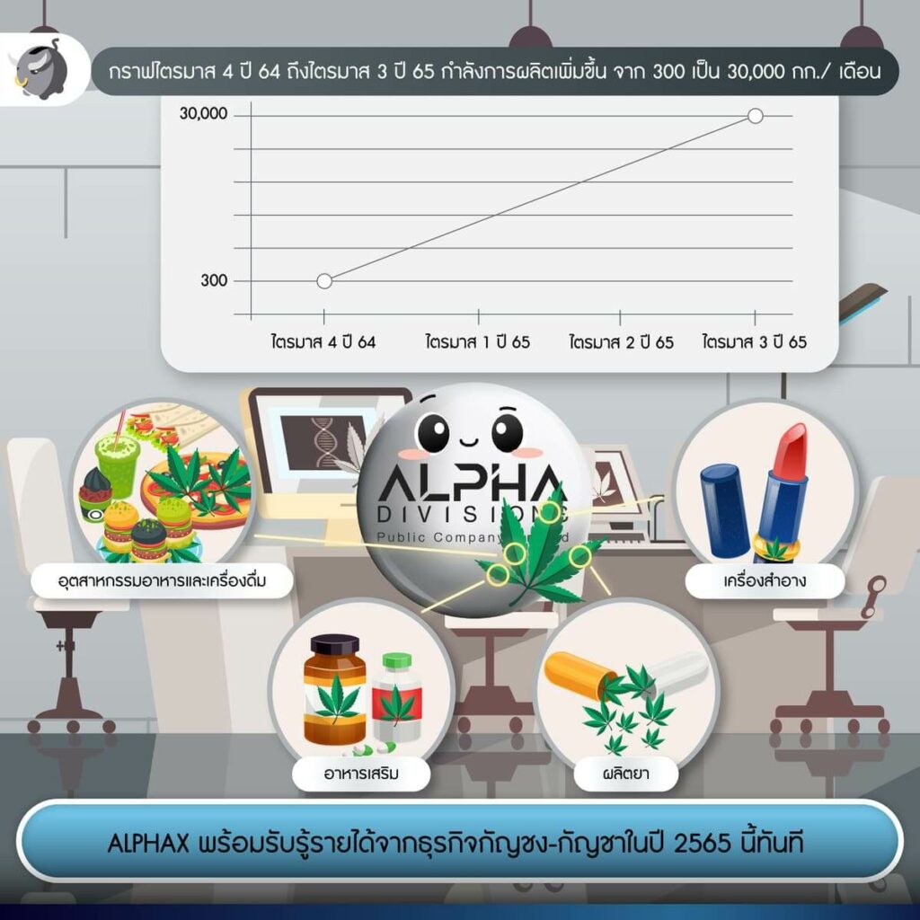 บริษัท อัลฟ่า ดิวิชั่นส์ จำกัด (มหาชน)
