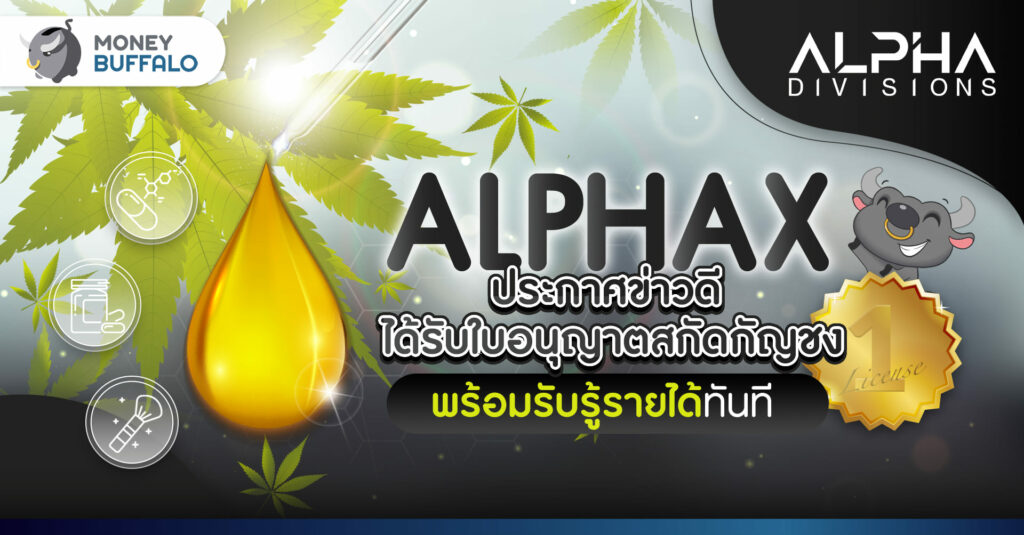 ALPHAX ได้รับใบอนุญาตสกัดกัญชง เพื่อใช้ในเชิงพาณิชย์หรืออุตสาหกรรมพร้อมรับรู้รายได้จากสารสกัดกัญชง