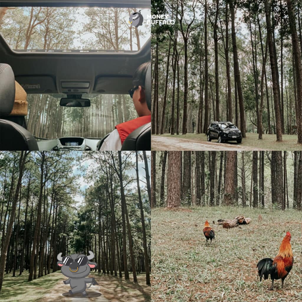 ดอยแม่โถ