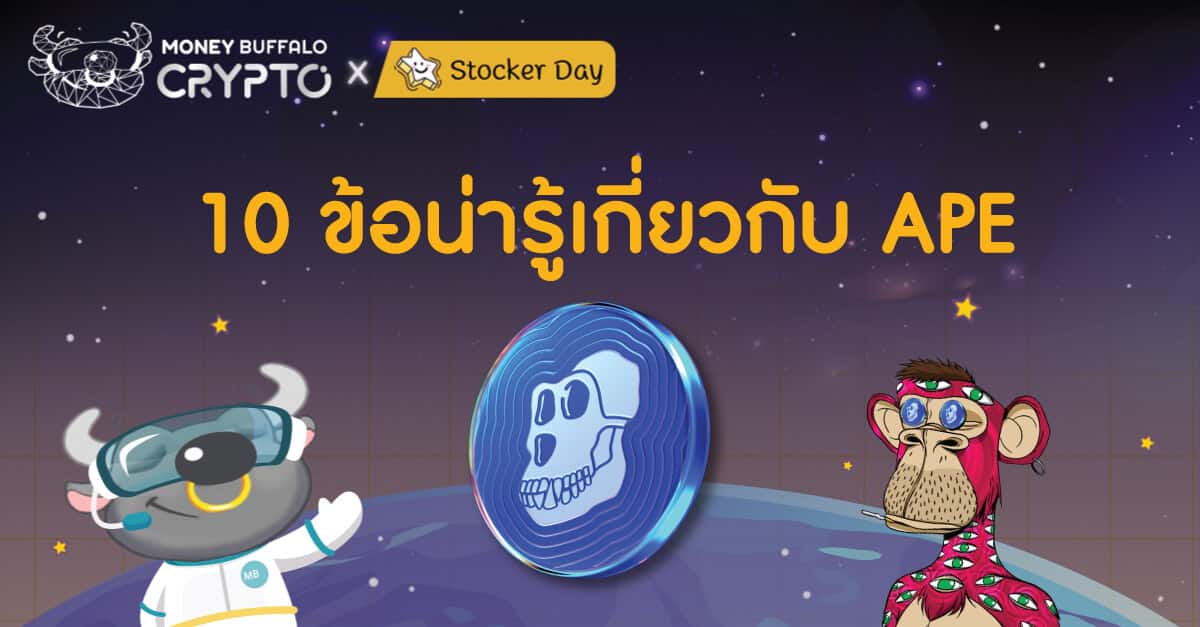 10-ข้อน่ารู้-APE