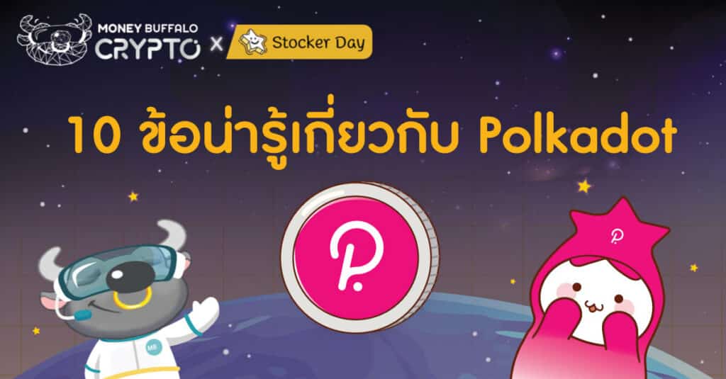 10 ข้อน่ารู้เกี่ยวกับ DOT