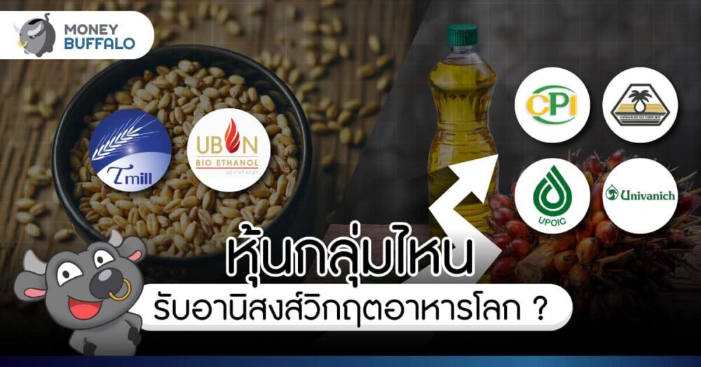 หุ้นกลุ่มไหนรับอานิสงส์ “วิกฤตอาหารโลก” ปี 2022 ?