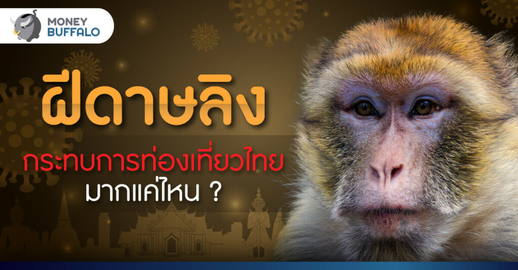 ฝีดาษลิง กระทบการท่องเที่ยวไทยมากแค่ไหน ?