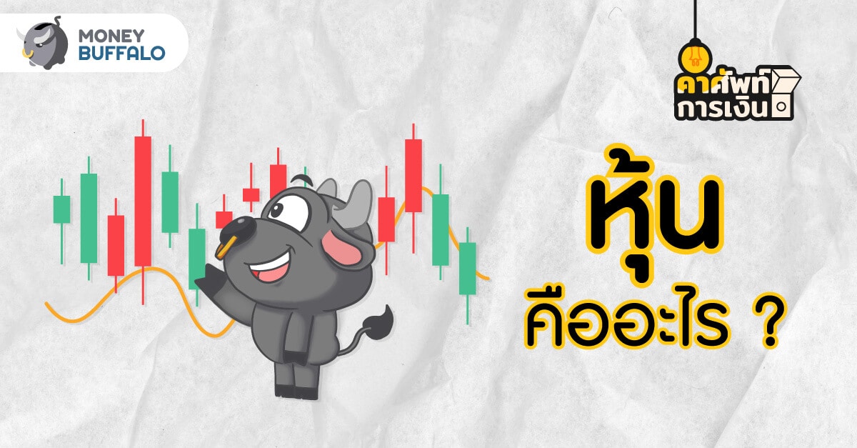 หุ้น คืออะไร ? ผลตอบแทนมาจากอะไรบ้าง ? - Money Buffalo หุ้น คืออะไร ? ผลตอบแทนมาจากอะไรบ้าง ? - Money Buffalo