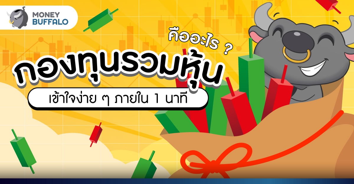 กองทุนรวมหุ้น คืออะไร ? เข้าใจง่าย ๆ ภายใน 1 นาที กองทุนรวมหุ้น คืออะไร ? เข้าใจง่าย ๆ ภายใน 1 นาที