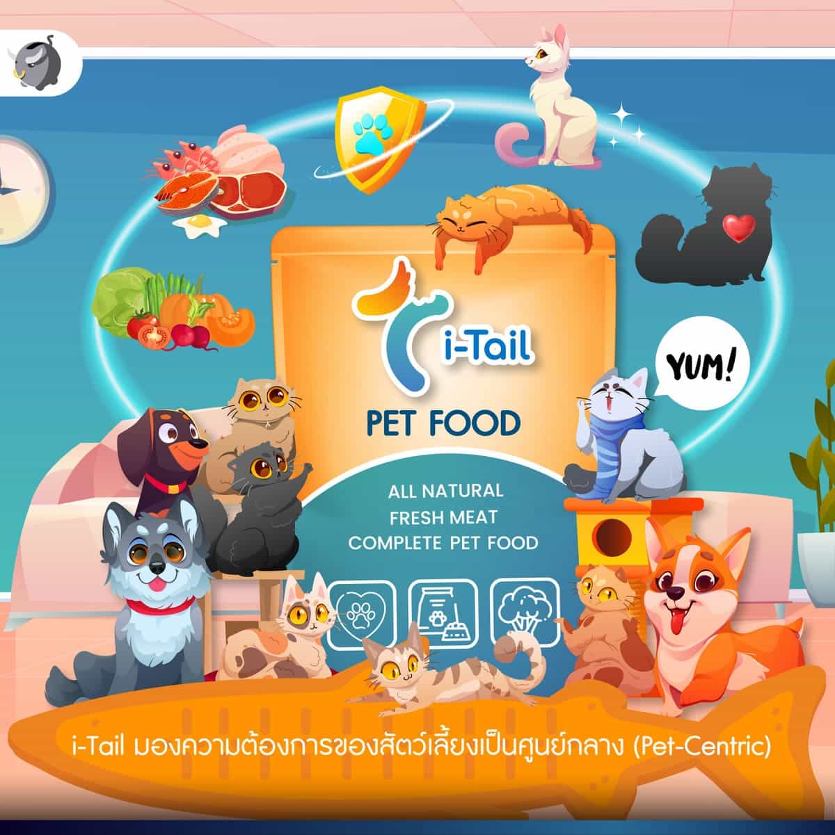 [เจาะลึก] “i-Tail” ผู้นำธุรกิจผลิต อาหารสัตว์เลี้ยง ของไทย จาก Thai Union