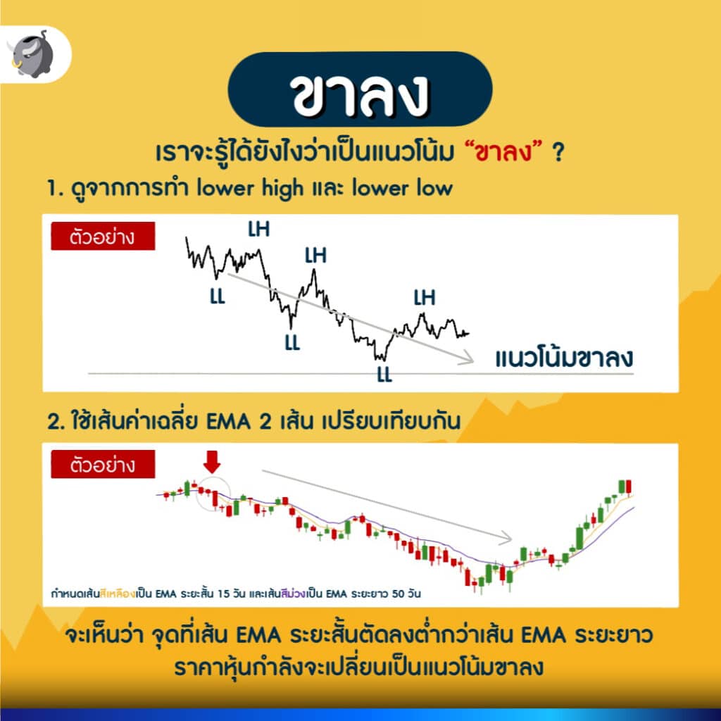 วิธี "อ่านกราฟหุ้น" สำหรับมือใหม่ ต้องทำยังไง ?