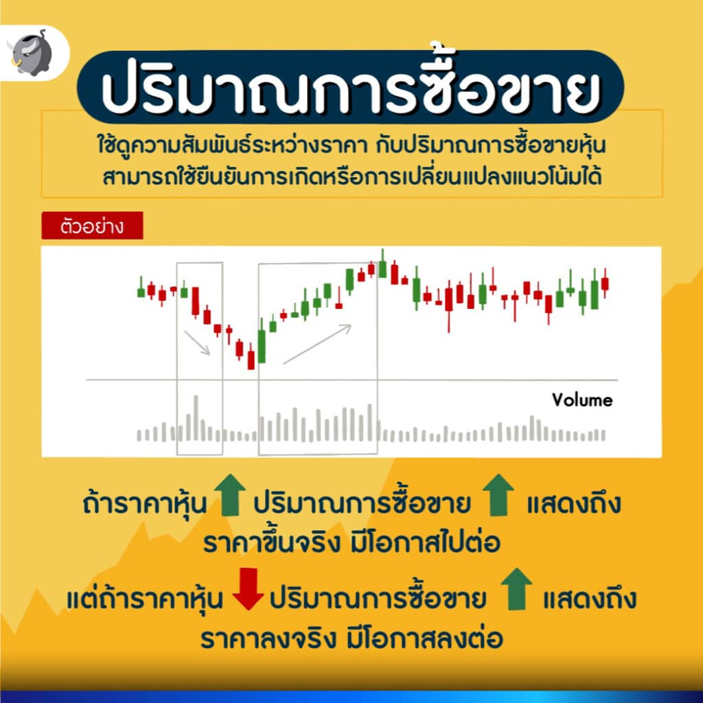 วิธี "อ่านกราฟหุ้น" สำหรับมือใหม่ ต้องทำยังไง ?