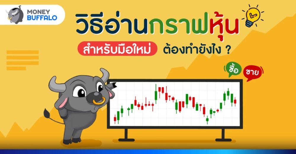 วิธี อ่านกราฟหุ้น สำหรับมือใหม่ ต้องทำยังไง ?