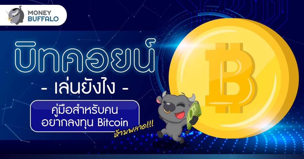 บิทคอยน์ เล่นยังไง คู่มือสำหรับคนอยากลงทุน Bitcoin ห้ามพลาด!!!