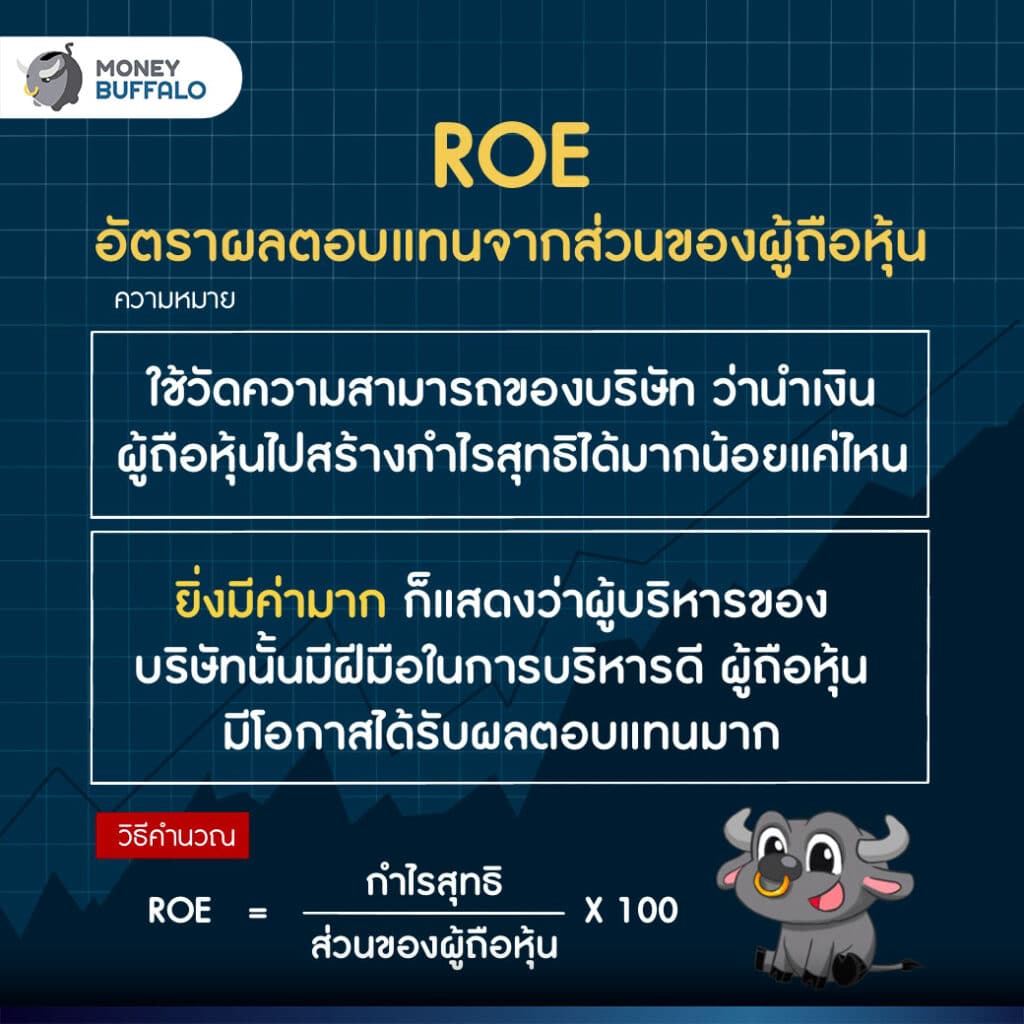 ROE วิเคราะห์หุ้น ด้วย 9 อัตราส่วนทางการเงิน ที่สาย VI ต้องรู้