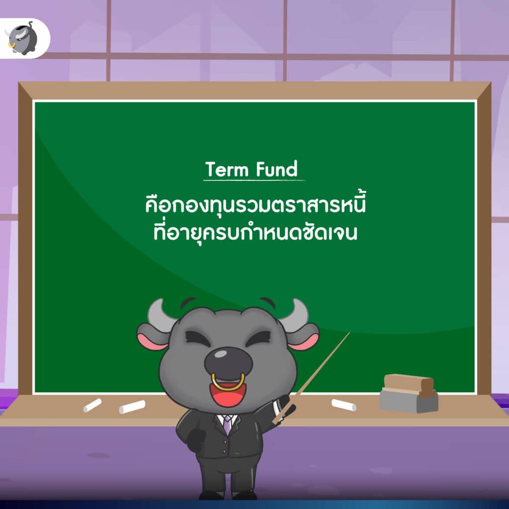Term Fund