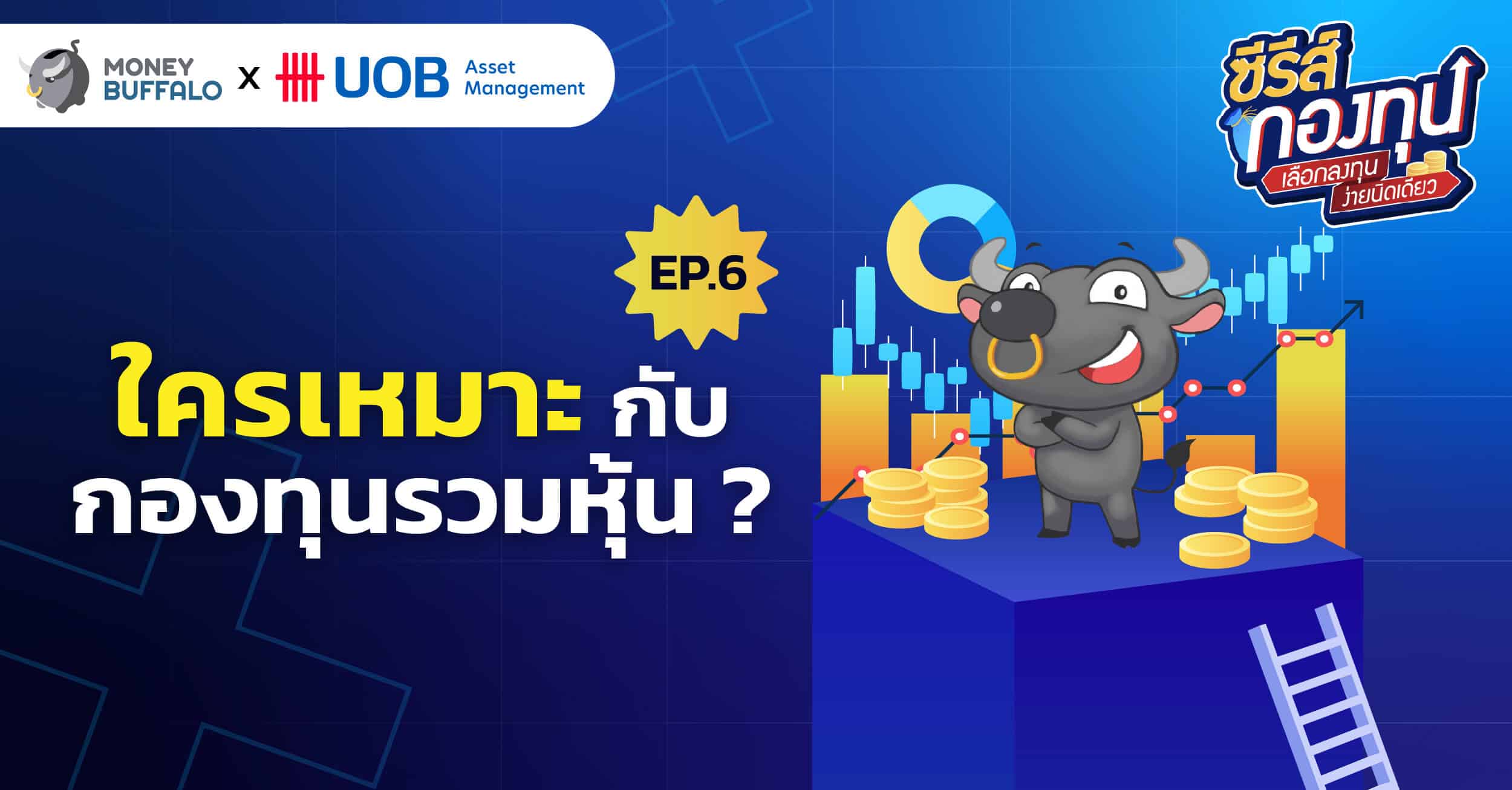 ใครเหมาะกับกองทุนรวมหุ้น ?